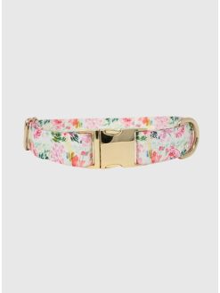 Printed Fabric Dog Collar
