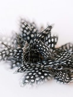 St. Armands Spotted Feather Tassel Earrings