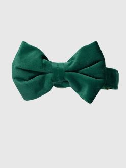 Velvet Dog Bow Tie and Collar